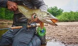 O'Pros Fly Fishing, Janesville