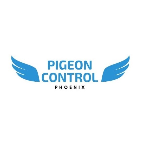  Profile Photos of Pigeon Control Phoenix 24820 North 16th Avenue, #135 - Photo 2 of 3