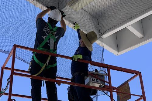  Profile Photos of Pigeon Control Phoenix 24820 North 16th Avenue, #135 - Photo 3 of 3