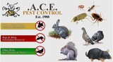  Ace Pest Ltd Wood Farm, Old Warden 
