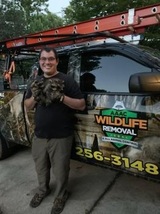 AAAC Wildlife Removal of Charlotte, Mooresville