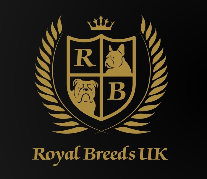  Profile Photos of Exclusive Dog Studs 126 Clements rd - Photo 1 of 1