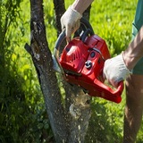 Sherwood Tree & Stump Removal, Sherwood