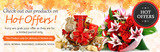 Flowershop18, Delhi
