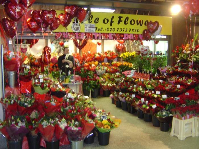  Profile Photos of ISLE OF FLOWERS PANCRAS ROAD - Photo 2 of 3