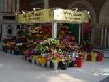 ISLE OF FLOWERS, LONDON