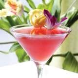 Cocktail Classes And Cocktail Bartender Hire, London