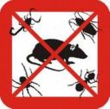 Pest Control Brasted, 13 Chart Lane, Brasted, TN16 1LN, 02036160464, http://www.pestcontrolbrasted.com Profile Photos of Pest Control Brasted 13 Chart Lane - Photo 5 of 5 Pest Control Brasted, 13 Chart Lane, Brasted, TN16 1LN, 02036160464, http://www.pestcontrolbrasted.com Profile Photos of Pest Control Brasted 13 Chart Lane - Photo 5 of 5