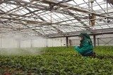 Pest Control Brasted, 13 Chart Lane, Brasted, TN16 1LN, 02036160464, http://www.pestcontrolbrasted.com Pest Control Brasted 13 Chart Lane 