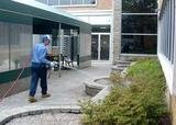 Pest Control Brasted, 13 Chart Lane, Brasted, TN16 1LN, 02036160464, http://www.pestcontrolbrasted.com, Pest Control Brasted, Brasted