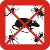 Pest Control Brasted, 13 Chart Lane, Brasted, TN16 1LN, 02036160464, http://www.pestcontrolbrasted.com, Pest Control Brasted, Brasted