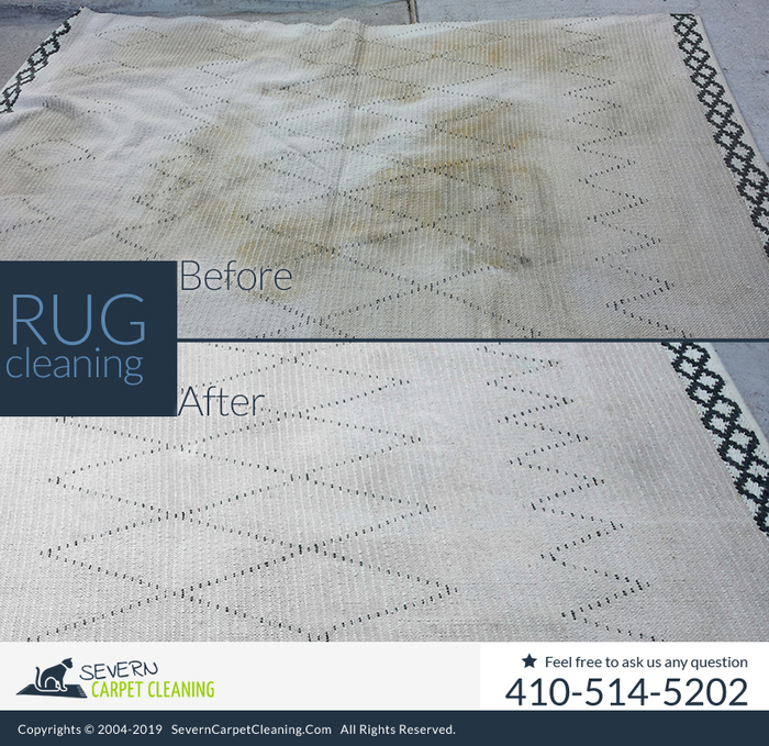  New Album of Severn Carpet Cleaning 7733 Telegraph Rd - Photo 2 of 10
