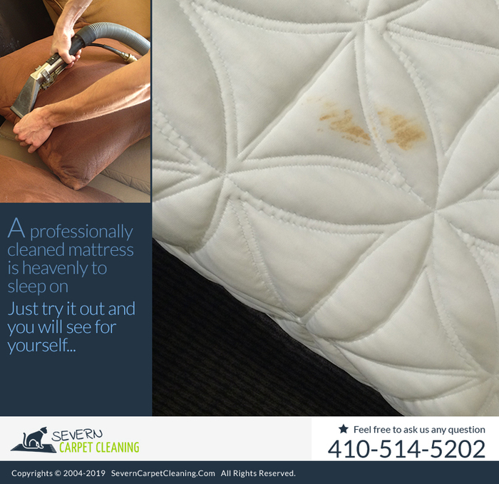  New Album of Severn Carpet Cleaning 7733 Telegraph Rd - Photo 6 of 10