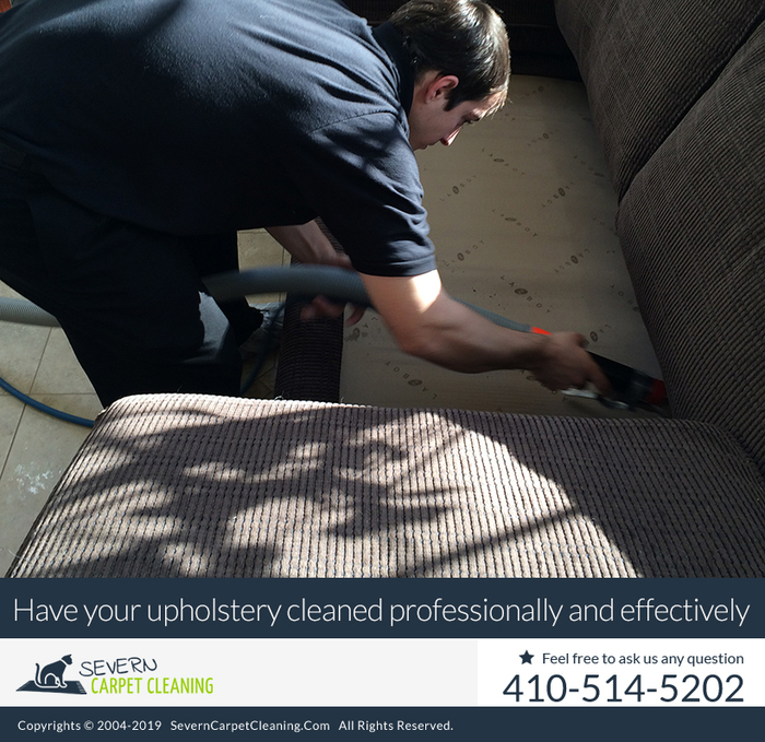  New Album of Severn Carpet Cleaning 7733 Telegraph Rd - Photo 9 of 10
