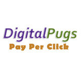 Link Building Company India, Noida