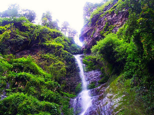  Profile Photos of Shimla Manali tour package - Visit for the best Travel and Tour Packag Mayur Vihar Phase-III - Photo 2 of 6