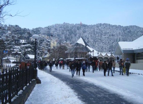  Profile Photos of Shimla Manali tour package - Visit for the best Travel and Tour Packag Mayur Vihar Phase-III - Photo 4 of 6