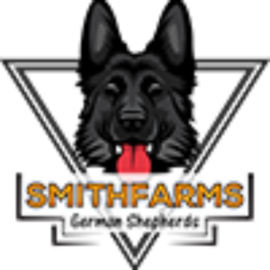  Profile Photos of SmithFarms German Shepherds 25763 Co Rd 2 - Photo 2 of 2