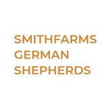 SmithFarms German Shepherds, Badger