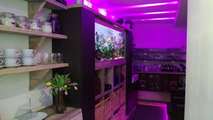 Fish Tank Profile Photos of Samuel David Hairdressing No 6 High Street - Photo 11 of 12