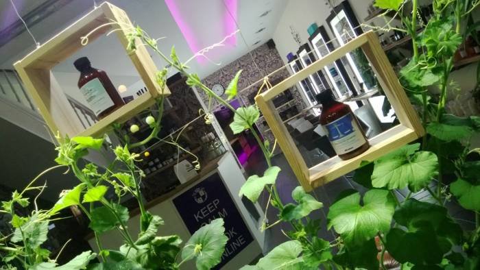 'Living' window display Profile Photos of Samuel David Hairdressing No 6 High Street - Photo 6 of 12