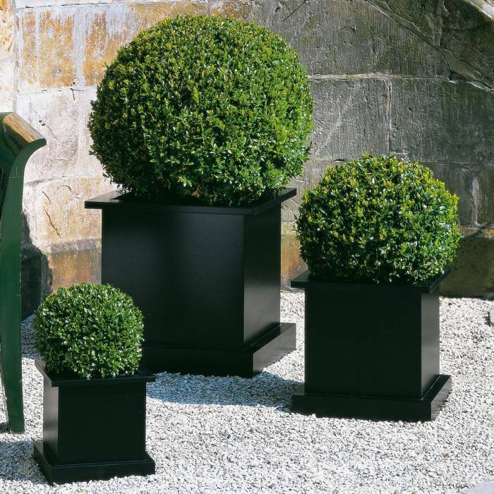  Profile Photos of Sara'S Design International Sos. Nicolae Titulescu 163 - Photo 2 of 10