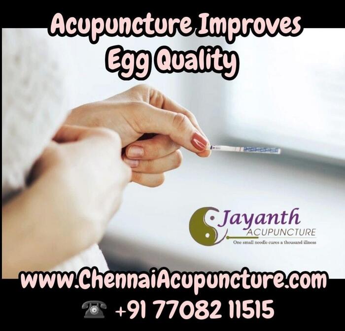 Acupuncture Treatment for Egg Quality in Chennai - Acupuncture Near Me Acupuncture Treatment of Chennai Jayanth Acupuncture Clinic #77, Harrington Road, Chetpet - Photo 27 of 42 Acupuncture Treatment for Egg Quality in Chennai - Acupuncture Near Me Acupuncture Treatment of Chennai Jayanth Acupuncture Clinic #77, Harrington Road, Chetpet - Photo 27 of 42