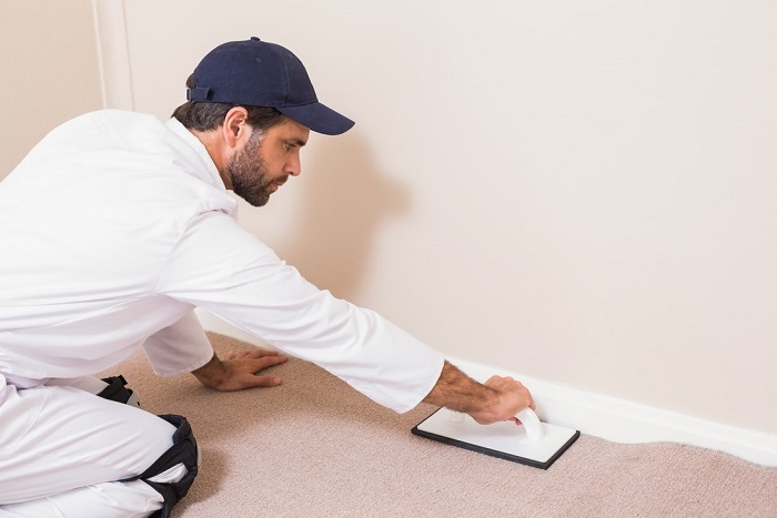  Profile Photos of OC Professional Carpet Repair 701 N Loara St #15511, - Photo 2 of 2