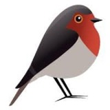 Robin GmbH, Wiesbaden