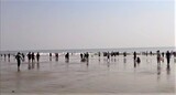  Digha Tour Guide With TAB Travels 56/2/D BR Road (West) 