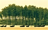 Digha Tour Guide With TAB Travels, Kolkata