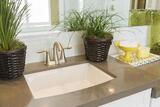  Van Countertops 1661 Ontario Street, #405 