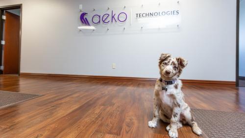  New Album of Aeko Technologies, IT Services and Cyber Security 1012 Winscott Rd - Photo 2 of 3