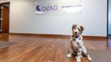  Aeko Technologies, IT Services and Cyber Security 1012 Winscott Rd 