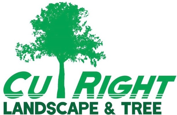  Profile Photos of Cut Right Landscape and Tree Tulsa 3732 S Fulton Ave. - Photo 1 of 1