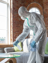 Reno Mold Removal Pros, Reno