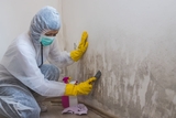 Reno Mold Removal Pros, Reno