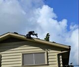 Roofing Thousand Oaks, Thousand Oaks