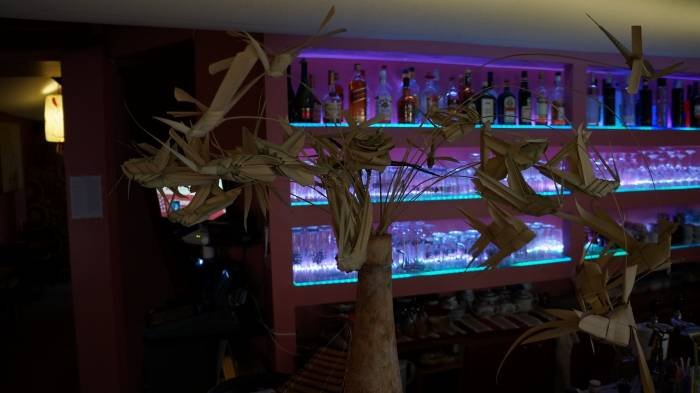                                 .....Tonkin-Restaurant of Tonkin - Vietnamese Cuisine - Bubble Tea Bar Krossener Str. 12 - Photo 67 of 81