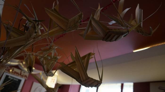                                 .....Tonkin-Restaurant of Tonkin - Vietnamese Cuisine - Bubble Tea Bar Krossener Str. 12 - Photo 9 of 81