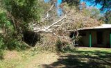  NEG Tree Services Tamworth 