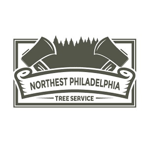  Profile Photos of Northeast Philadelphia Tree Services 7813 Dungan Road - Photo 2 of 4