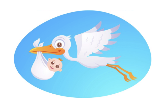  Profile Photos of Cuddly Bundles Childcare 137 East 150th street - Photo 1 of 2