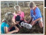 The Hunter Farm, Weddington