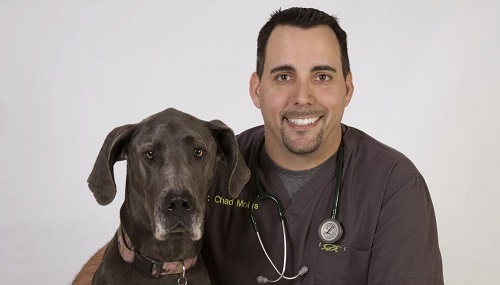  Profile Photos of Blue Sky Veterinary Clinic 20205 Powers Rd - Photo 2 of 2