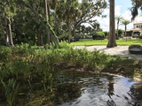 Karina Lakefront Maintenance, Casselberry