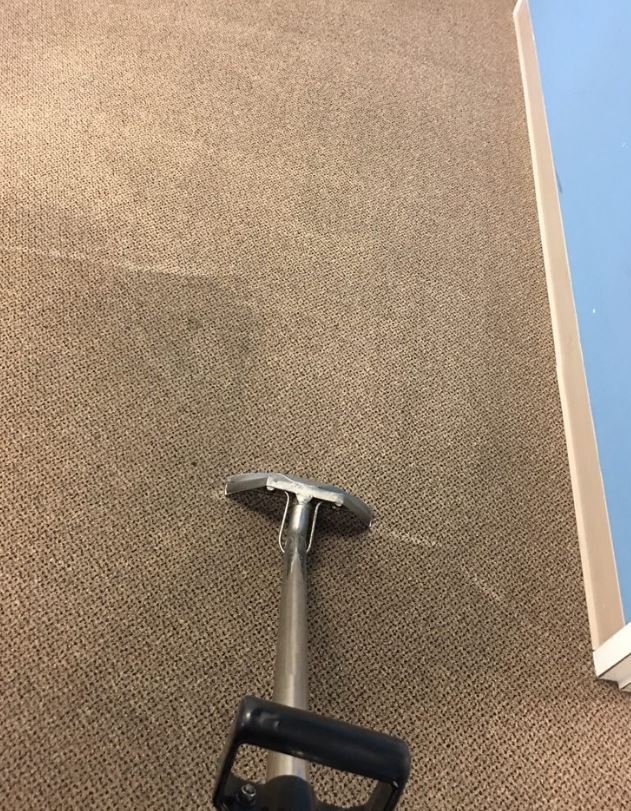  Profile Photos of Six Carpet Cleaning 420 â€“ 678 G Sheppard Ave E - Photo 3 of 5