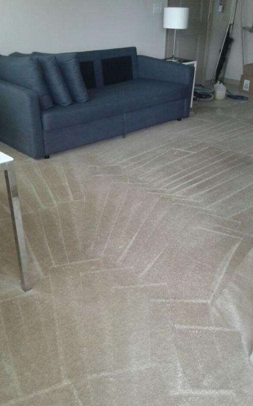 Profile Photos of Six Carpet Cleaning 420 â€“ 678 G Sheppard Ave E - Photo 5 of 5