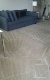  Six Carpet Cleaning 420 â€“ 678 G Sheppard Ave E 