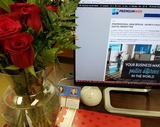 Premium Web Development LLC, Albany